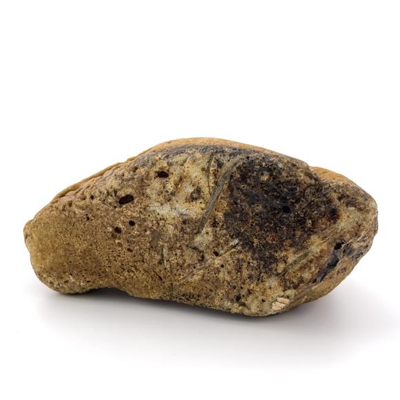 古龍會(huì)龍涎香 1250g