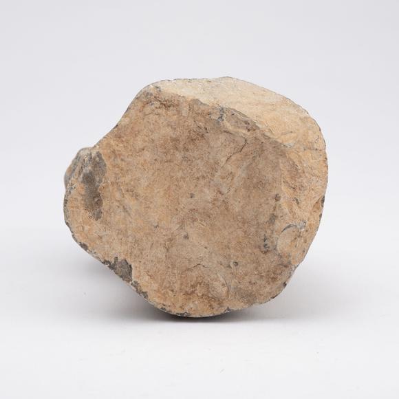 千峰會(huì)唐 青石獅首像