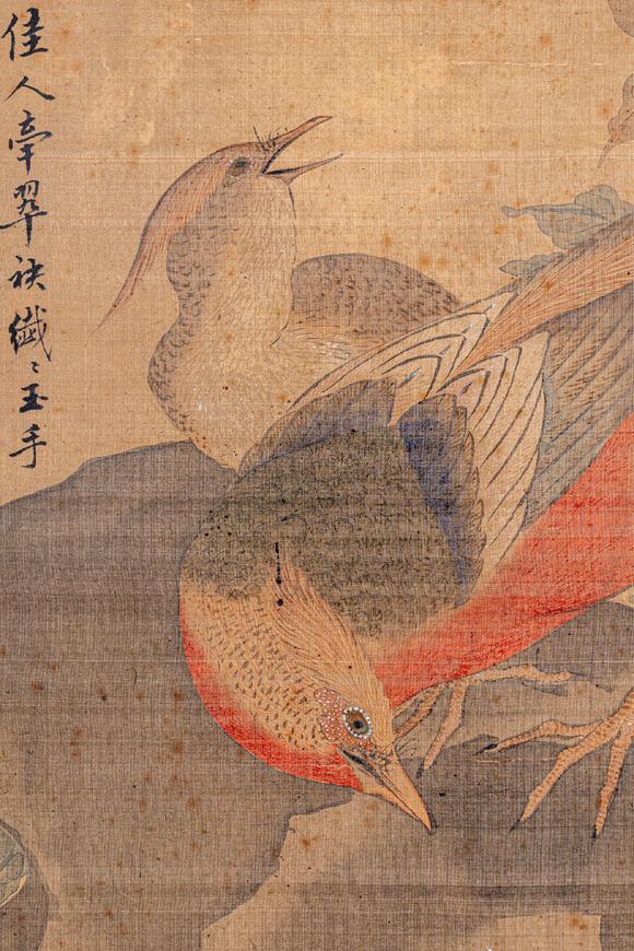 大阪國際金城 花鳥