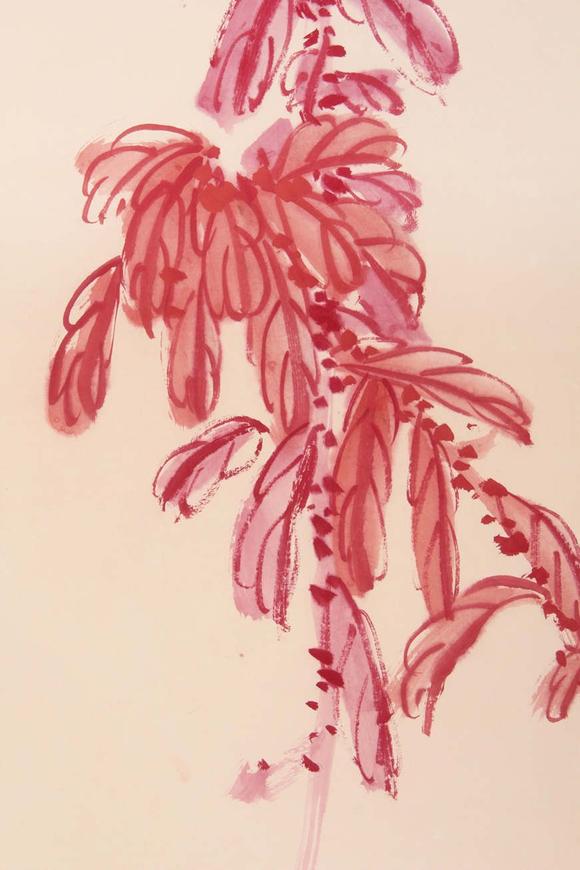 東京新世紀(jì)齊白石 雁來(lái)紅
