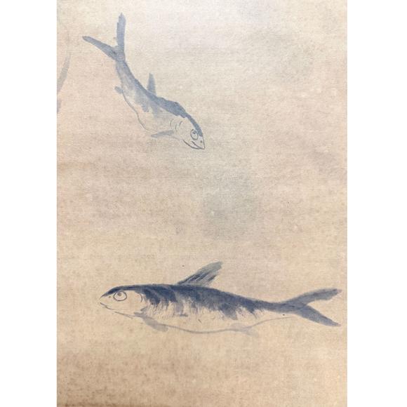 鐮倉美術(shù)八大山人  魚鳥圖