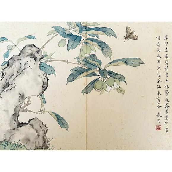 鐮倉美術(shù)林徽因 花卉冊頁八開
