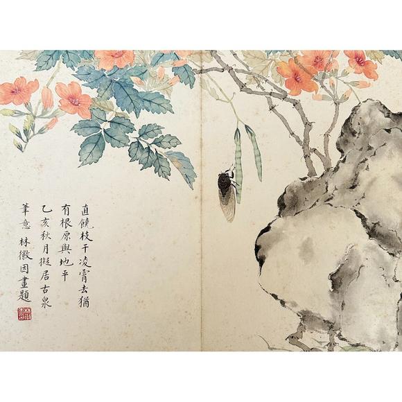 鐮倉美術(shù)林徽因 花卉冊頁八開