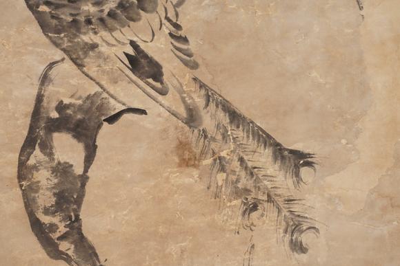You Need八大山人 花卉 孔雀