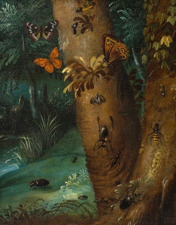 Coronari Auctions BVOtto Marseus Van Schrieck (1619-1678): A pair of forest still lifes with butterflies and insects, oil on panel