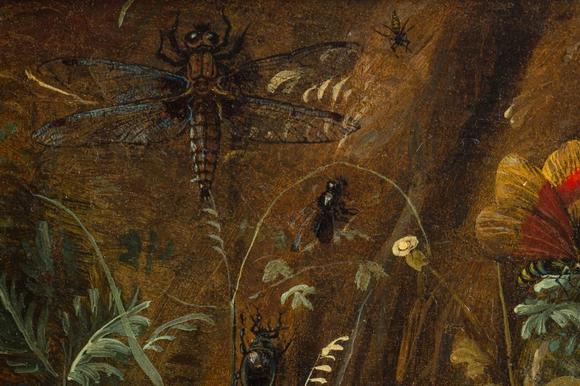 Coronari Auctions BVOtto Marseus Van Schrieck (1619-1678): A pair of forest still lifes with butterflies and insects, oil on panel