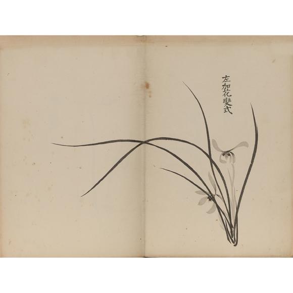 東京飛鳥(niǎo)十竹齋 蘭譜