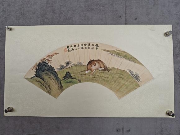 山東常藏馬