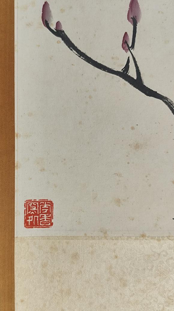 山東常藏花蝶