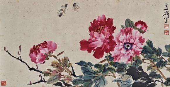 山東常藏花蝶