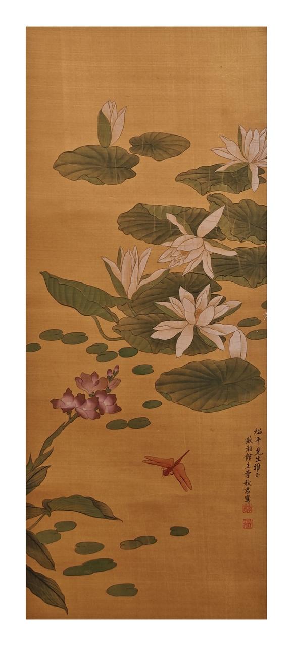 山東常藏荷花蜻蜓