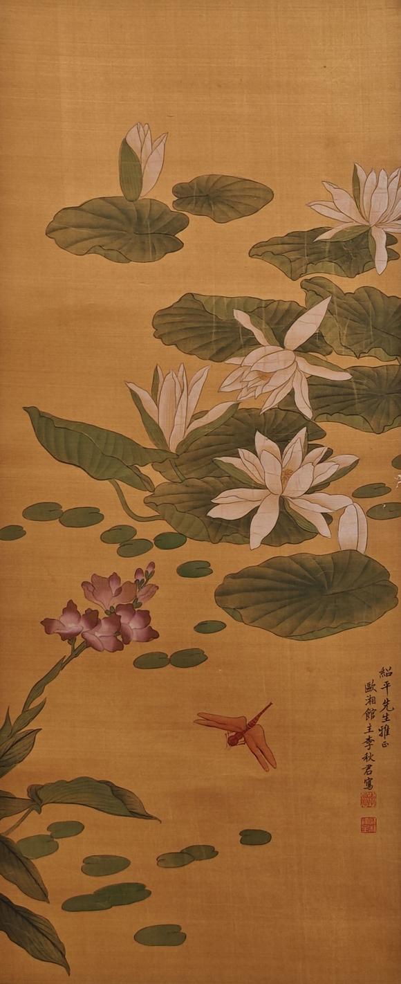 山東常藏荷花蜻蜓
