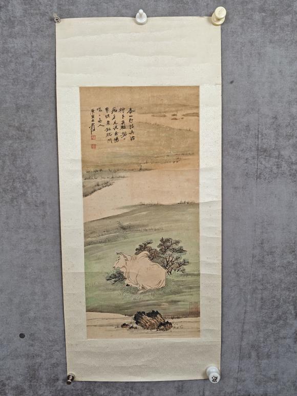 山東常藏牛
