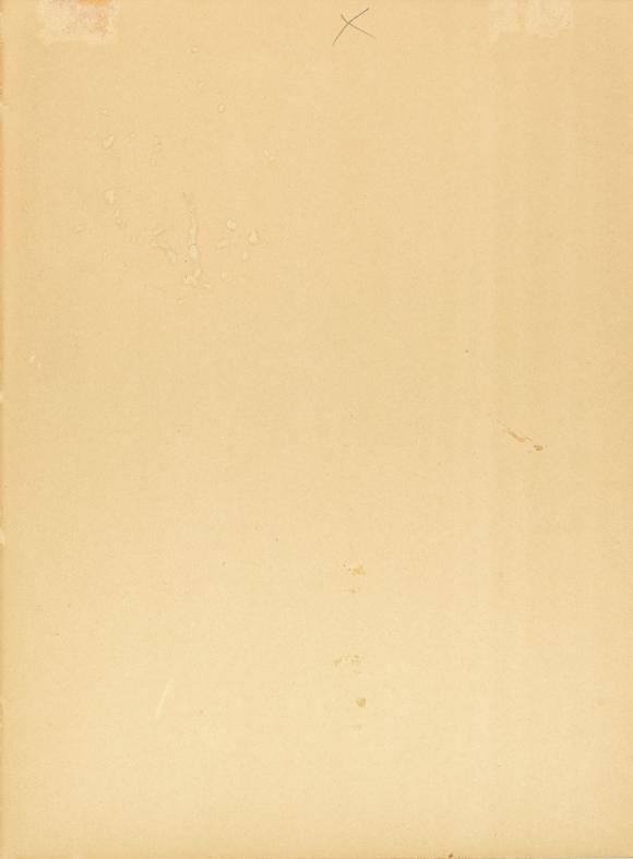 RoseberysA seated portrait of a noble lady, possibly Zeenat Mahal,?
Delhi, North India, circa 1880,?

opaque pigments on paper, facing the viewer, reclini