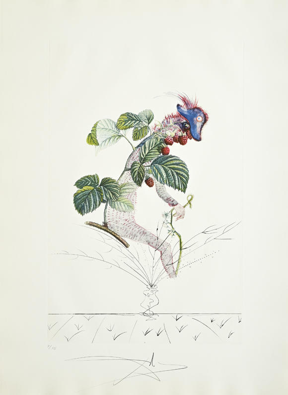 Piguet - H?tel des VentesSalvador Dali (1904-1989),  FlorDali - Les Fruits , 1969, 10 pointes-sèches et lithographies en couleurs, signées et numérotées 7/35