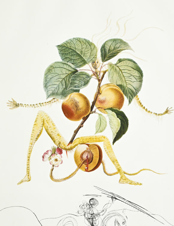 Piguet - H?tel des VentesSalvador Dali (1904-1989),  FlorDali - Les Fruits , 1969, 10 pointes-sèches et lithographies en couleurs, signées et numérotées 7/35