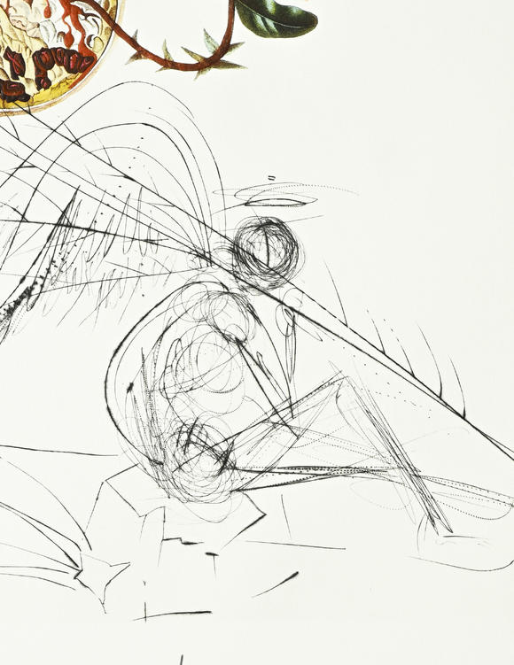 Piguet - H?tel des VentesSalvador Dali (1904-1989),  FlorDali - Les Fruits , 1969, 10 pointes-sèches et lithographies en couleurs, signées et numérotées 7/35