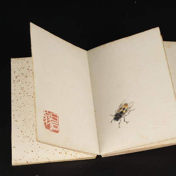 朱雀美術(shù)拍賣齊白石 草蟲冊頁