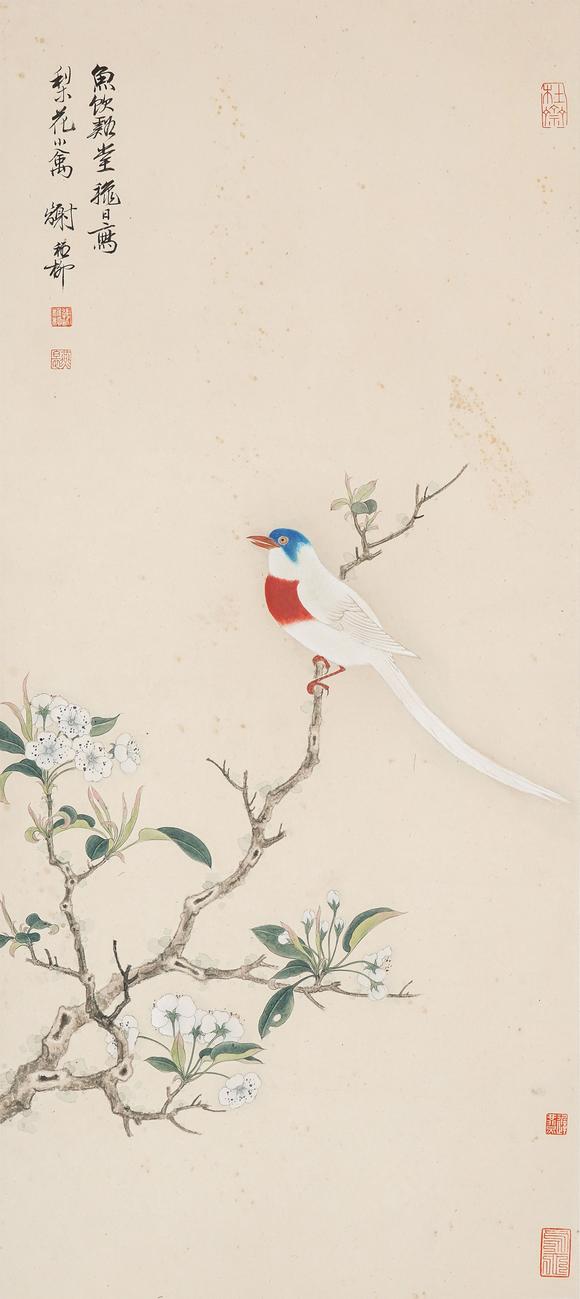 中鴻信謝稚柳（1910-1997）?梨花綬帶