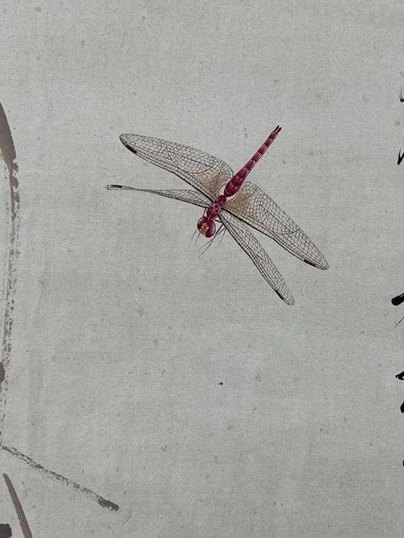 日本松町古美齊白石 貝葉草蟲圖
