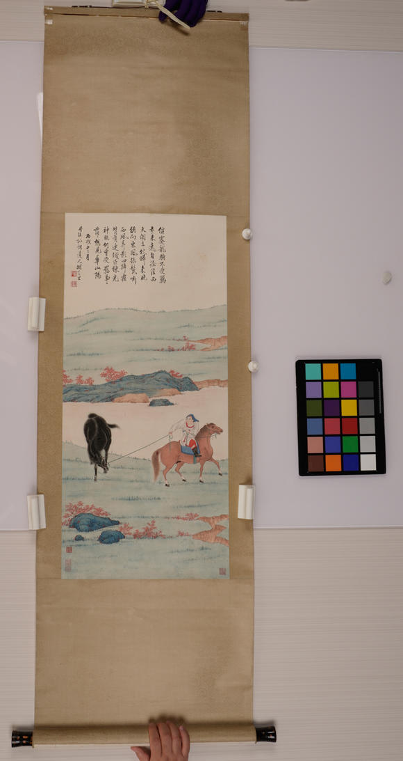 華岳國際胡若思  駿馬
