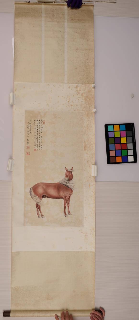 華岳國(guó)際載瀛  駿馬圖
