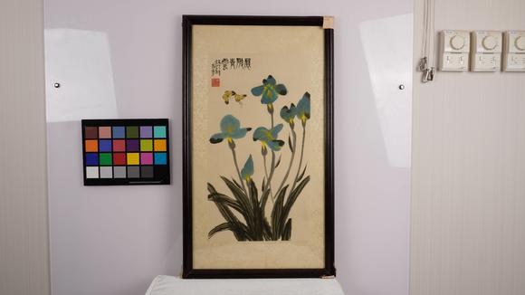 華岳國際蕭淑芳  蘭花雙蝶圖