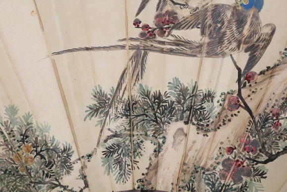 萬(wàn)領(lǐng)國(guó)際金城 王驥  花鳥
