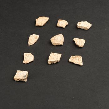 甲骨文片十點(diǎn)