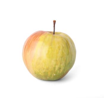 Lot 28 A CERAMIC APPLE BY LADY ANNE GORDON  Highlight