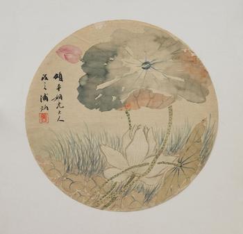 浦炳 花卉
