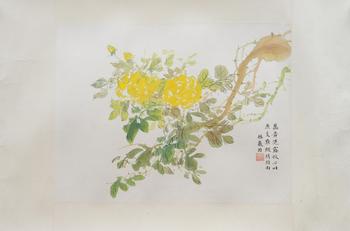 林徽因 花卉