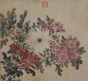 佚名 菊花