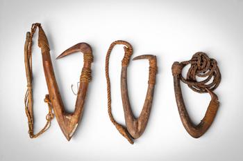Ca. late 19th - early 20th century AD. >
A group comprising several large wooden fish hooks of ch