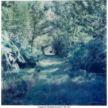 Antoine Bootz (20th Century) Path #1, 2005 Dye c