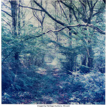 Antoine Bootz (20th Century) Path #5, 2005 Dye c
