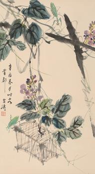紫藤草圖