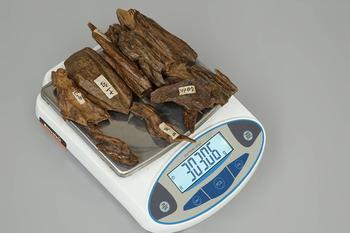 沉水奇楠沉香 12點(diǎn)