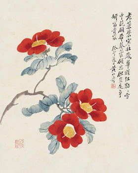 黃山壽 花卉