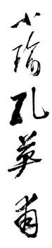 孔小瑜