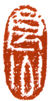 關(guān)良