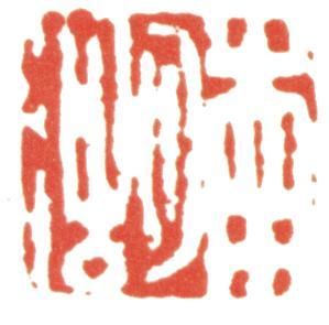 楊伯潤