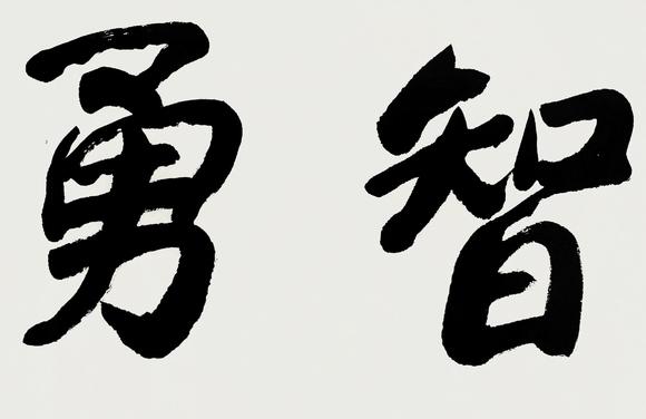 刘文西智勇双全