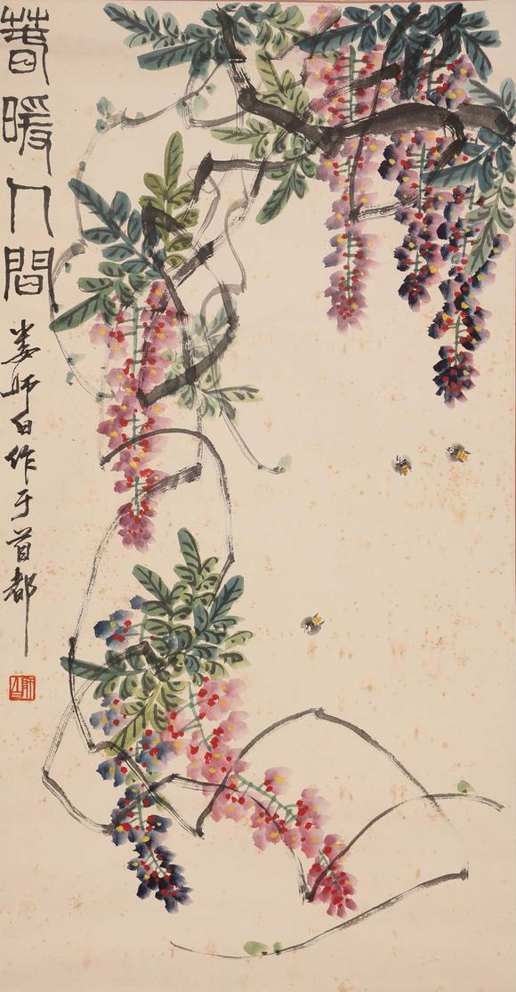 山东常藏娄师白 紫藤