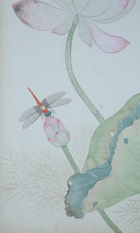 st古美术恽寿平 荷花蜻蜓