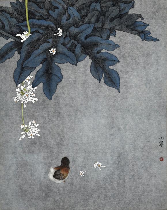 华艺国际万小宁 雏鸡